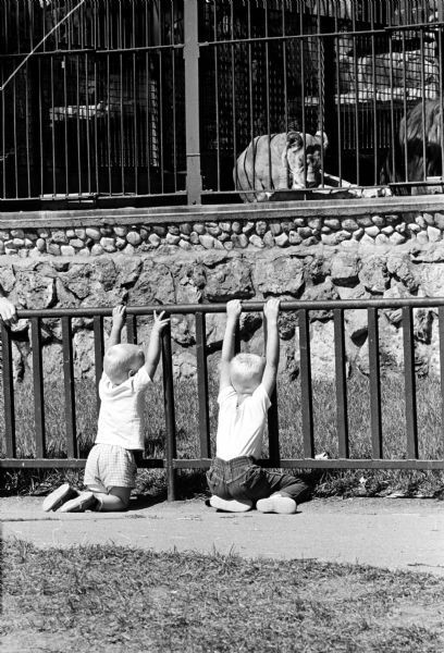 1961 - Vilas Park Zoo